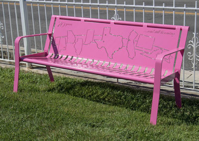 Pink Park Benches