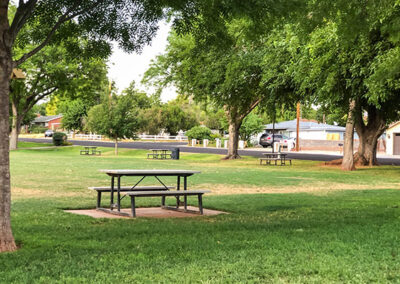 Recycled Picnic Tables For Grassy Areas