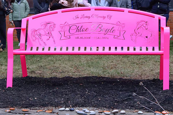 Horse Themed Inspiration Bench