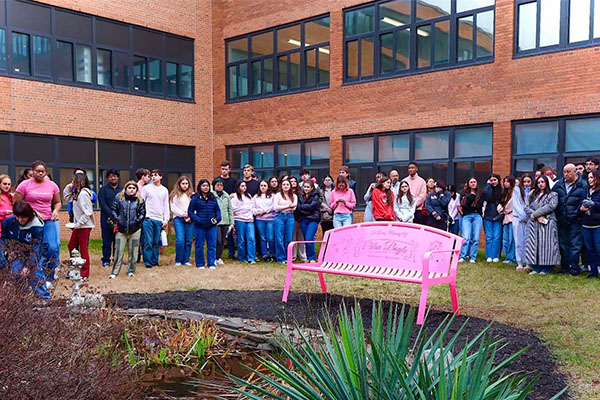 Revealing Of Horse Themed Bench